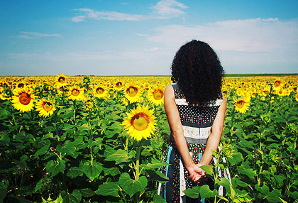 无限短信网页在线轰炸